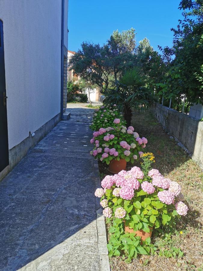 Bugenvila Rogoznica  Esterno foto